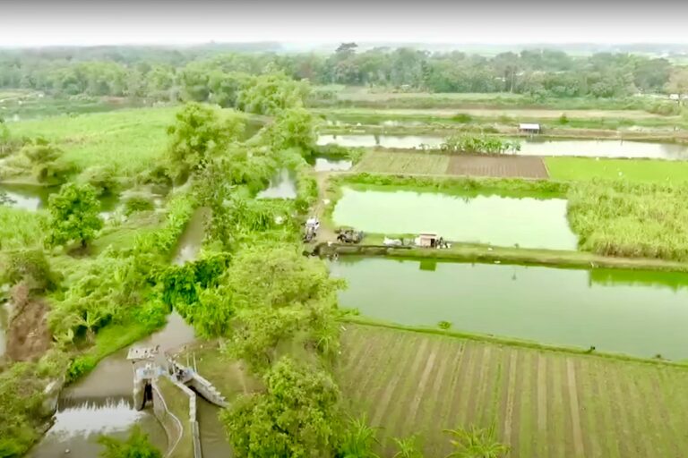 6b1d0e8c-d85e-4141-a5f0-747d466133fa