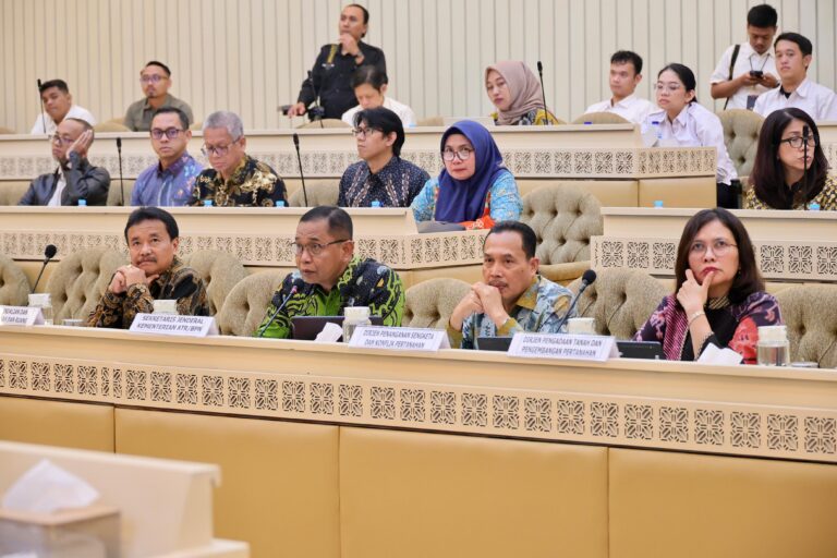 WhatsApp Image 2025-09-17 at 08.32.14