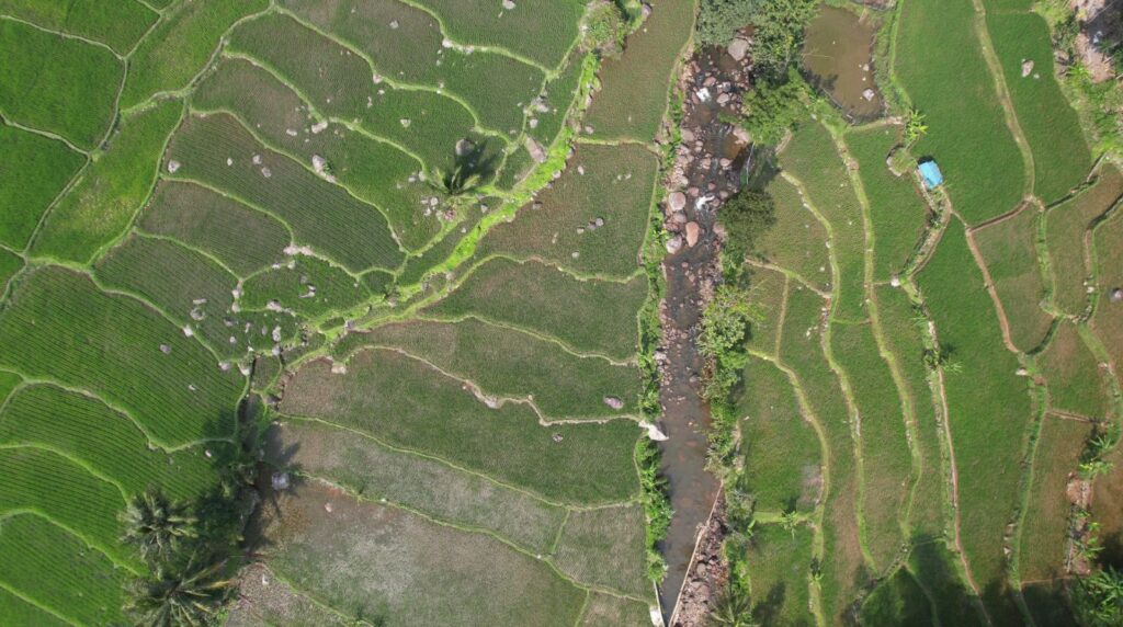 WhatsApp Image 2025-09-24 at 21.23.06