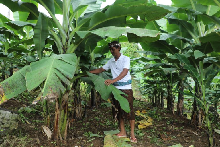 8c821df6-34ce-4a88-9477-aefd0812612f