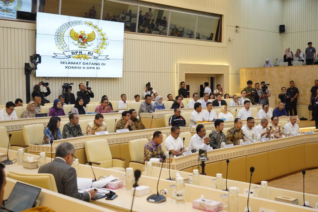 WhatsApp Image 2025-11-19 at 12.56.05