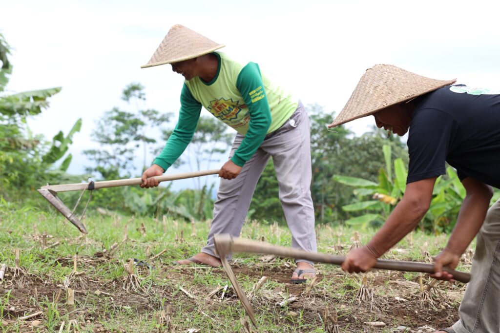 87fa27b0-70be-42fd-9497-5d4134d941bc