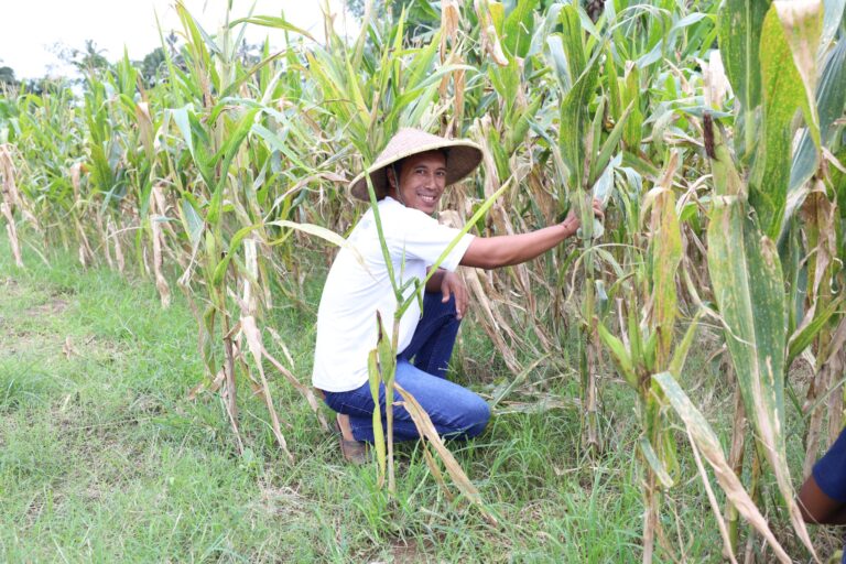 a6aaa823-ff1f-4395-8421-69f372de49dc