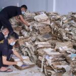 09ed8c28-116a-4650-a1ee-18c2e3b24436