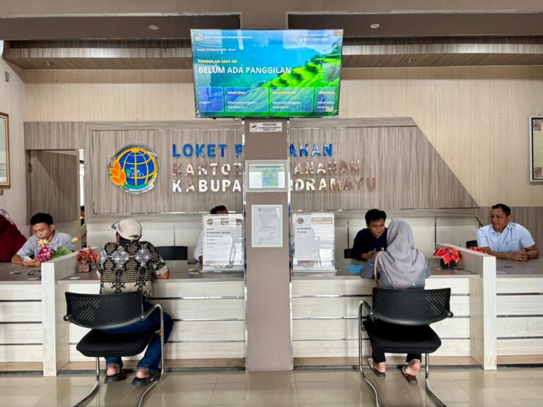 WhatsApp Image 2026-03-23 at 19.17.27